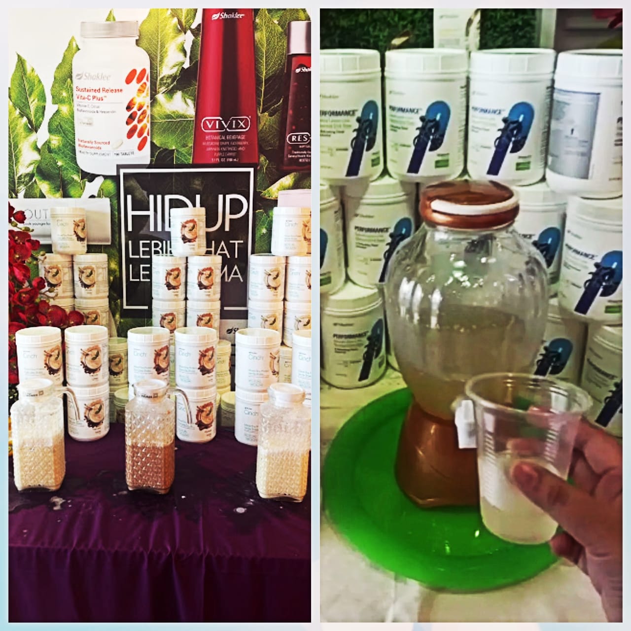 Shaklee fun day