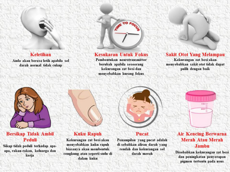 Punca Anemia